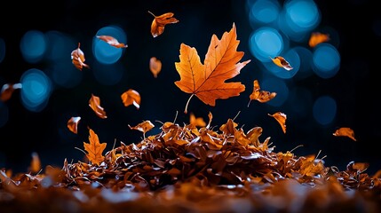 Wall Mural - Leaves tumble down to rest in a golden pile, the forest lit by blue bokeh lights.