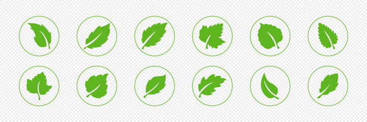 Set of isolated green leaf icons on white background. Abstract natural leaf icons. Elements. Vector illustration.