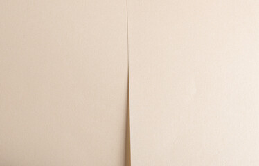 Fototapete - Beige paper texture with smooth folds and neutral tones. Layered lines and soft shadows create a refined, abstract design, perfect for modern stationery. The subtle, minimalist