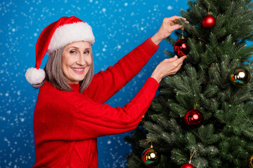 Wall Mural - Profile photo of optimistic white hairdo old lady decorate tree wear red pullover cap isolated on blue color background