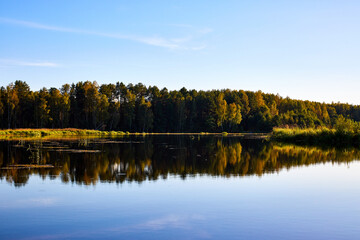 A serene river mirrors the golden hues of trees on a clear autumn day, showcasing nature’s symmetry