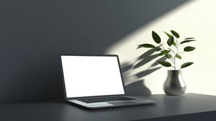 Wall Mural - Plants and a laptop in a minimalist workspace lit by natural light