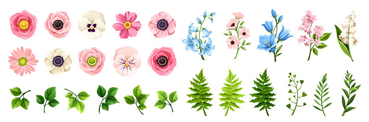 pink, blue, and white flowers and green leaves and grasses isolated on a white background. set of ve