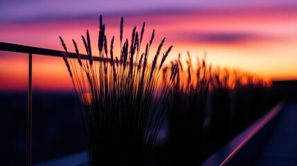 Wall Mural - A serene sunset view with silhouetted plants against a colorful sky.