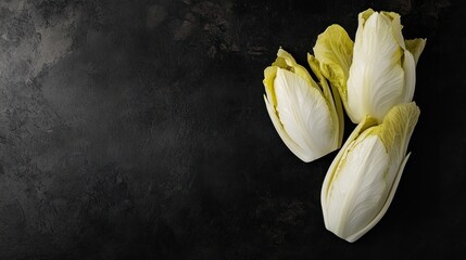 Sticker - Fresh endive leaves arranged on a dark surface, highlighting their texture and color.