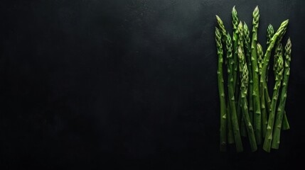 Wall Mural - Fresh asparagus arranged on a dark surface, ideal for culinary presentations.