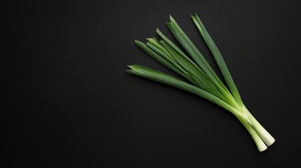 Wall Mural - A bunch of fresh green onions on a black background.