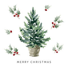 Wall Mural - christmas tree, holly twigs with red berries, text, white background. design template for the card, 