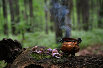 witch copper cauldron and mushrooms on stump in forest, natural background. Magic ritual, witchcraft, occult esoteric spiritual practice. autumn season. fairytale atmosphere.