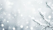 © Hoss - A simple gray winter christmas background - snow falls onto pine tree branches, snowflakes  in the air in soft focus - a minimalist and tonal holiday background for a custom image and copypace.