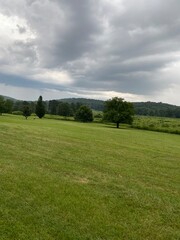 Kentucky Meadow