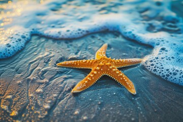 Wall Mural - A starfish is laying on the sand at the beach