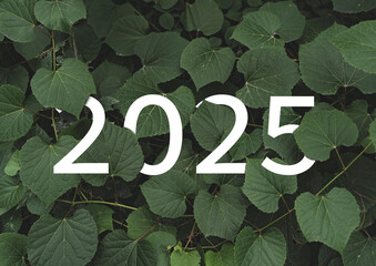 Wall Mural - 2025 New year white text hidden in natural green leaves wall