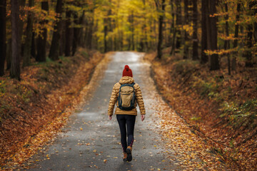 Wall Mural - woman hiking in autumn forest. female tourist with backpack walking on road in woodland