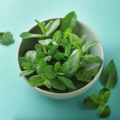 Fresh mint leaves in a bowl, on pastel background