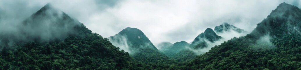 Wall Mural - Aerial view, wide misty panorama in the jungle. Fog and cloud mountain tropic valley landscape.