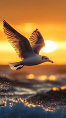 Wall Mural - Seagull in flight over ocean at sunset