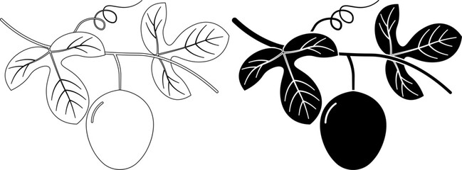 Wall Mural - outline silhouette passion fruit with leaves icon set