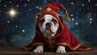 © Arief - a bulldog puppy dressed in a wizard robe and hat