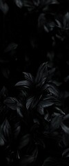 Poster - Dark foliage in the shadows