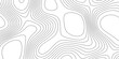 © Abu Bokkor Siddique - Topographic map like lines trendy modern background and texture, topographic linear background for design lines topographic contour map seamless pattern geographic mountain relief.