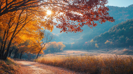 Wall Mural - Trail in the autumn forest