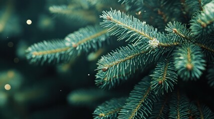 Wall Mural - macro christmas tree background