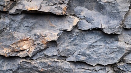 Wall Mural - Textured Rock Surface with Natural Patterns and Colors