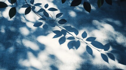 Poster - Delicate Shadow Play of Leaves on Wall