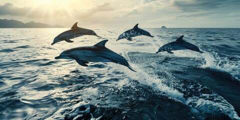 Jumping dolphins emerging from the ocean