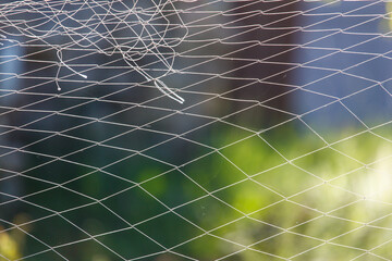 Wall Mural - Woven net against the backdrop of nature in summer
