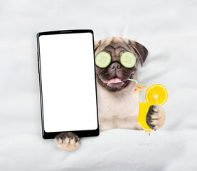 Fototapete - Happy Pug puppy with a pieces of cucumber on it eyes relaxing on the bed at home and showing big smartphone with white screen in it paw. Top down view. Empty space for text