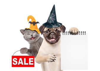 Poster - Happy cat and Pug puppy wearing  hats for halloween looks at camera. Dog shows blank notepad. Kitten  shows signboard with labeled 