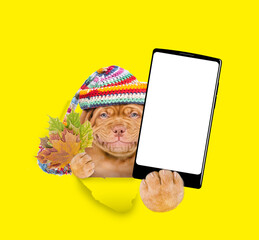 Poster - Smiling puppy wearing warm hat holds dry leaves and big smartphone with white blank screen in it paw through the hole in yellow paper
