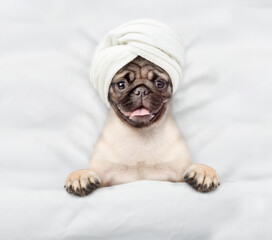 Fototapete - Funny Pug puppy with towel on it head relaxing on the bed at home. Top down view