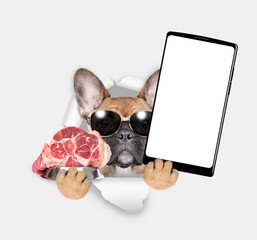 Poster - french bulldog puppy looks through the hole in white paper, holds bowl with raw meat and shows smartphone with white blank screen in it paw. Empty free space for mock up, banner