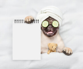 Fototapete - Funny Pug puppy with towel on it head and with pieces of cucumber on it eyes relaxing on the bed at home and showing empty list. Top down view. Empty space for text