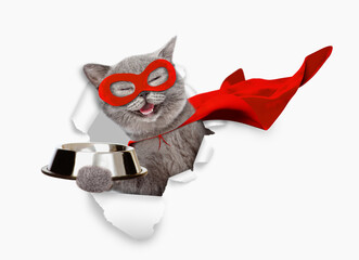 Poster - Happy kitten wearing superhero costume looking through the hole in white paper and holding empty bowl