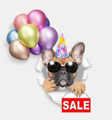 Poster - Funny French Bulldog wearing party cap and sunglasses looks through a hole in white paper, holding balloons and showing signboard with labeled 