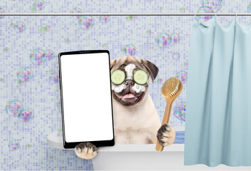Leinwandbilder - Happy Pug puppy with cream on it face and with slices of cucumber in it eyes takes the bath and shows big smartphone with white blank screen in it paw. Empty space for text