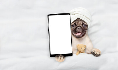 Leinwandbilder - Pug puppy with towel on it head relaxing on the bed at home and showing big smartphone with white blank screen in it paw. Top down view