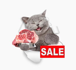 Poster - Happy cat looking through the hole in yellow paper and holding bowl with raw meat