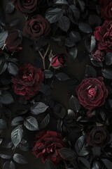 Poster - Dark Floral Background with Red Roses and Leaves