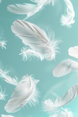 Poster - Delicate White Feathers on Light Blue Background