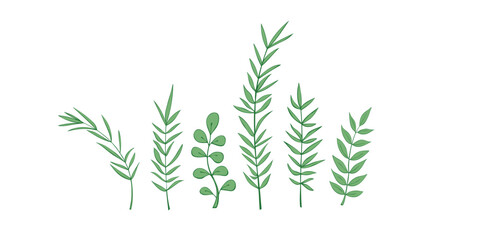 Wall Mural - Meadow green twigs, tree branches, summer grass herbs, vector set. Hand drawn doodle herbs, sprigs, grass plants botany collection