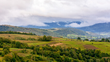 mountainous rural landscape on a rainy day in autumn. fields and trees on rolling hills beneath an overcast sky