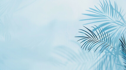 Wall Mural - light blue background palm leaves and copy space, summer backdrop
