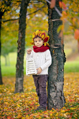 Sticker - Adorable little child, blond boy with crown from leaves in park on autumn day.