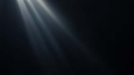 Wall Mural - graceful light beams shine through darkness on a black backdrop, adding elegance and mystery to your