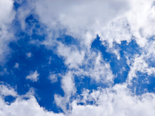 Wall Mural - blue sky background with tiny clouds. cloudscape. copy space.